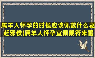 属羊人怀孕的时候应该佩戴什么驱赶邪佞(属羊人怀孕宜佩戴符来驱邪，选对“物”轻松招福祥)