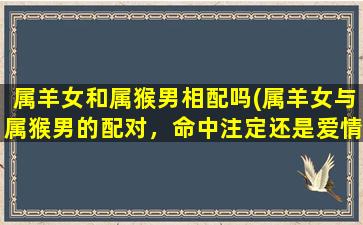 属羊女和属猴男相配吗(属羊女与属猴男的配对，命中注定还是爱情迷局？)