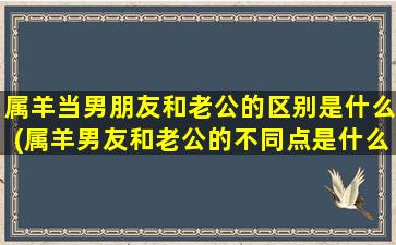 属羊当男朋友和老公的区别是什么(属羊男友和老公的不同点是什么？)