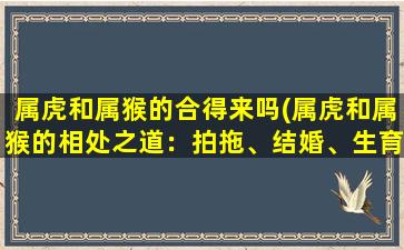 属虎和属猴的合得来吗(属虎和属猴的相处之道：拍拖、结婚、生育等全方位解读！)