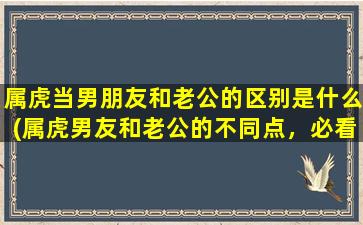 属虎当男朋友和老公的区别是什么(属虎男友和老公的不同点，必看！)