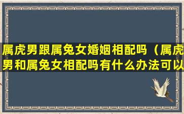 属虎男跟属兔女婚姻相配吗（属虎男和属兔女相配吗有什么办法可以*）