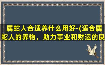 属蛇人合适养什么用好-(适合属蛇人的养物，助力事业和财运的良方！)