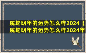 属蛇明年的运势怎么样2024（属蛇明年的运势怎么样2024年结婚）