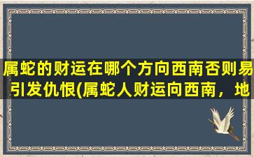 属蛇的财运在哪个方向西南否则易引发仇恨(属蛇人财运向西南，地理方位易招仇恨！)