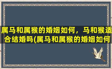 属马和属猴的婚姻如何，马和猴适合结婚吗(属马和属猴的婚姻如何，马和猴适合结婚吗？详细分析马猴恋爱婚姻匹配度)