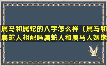 属马和属蛇的八字怎么样（属马和属蛇人相配吗属蛇人和属马人姻缘怎么样）