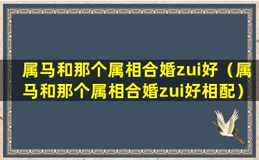 属马和那个属相合婚zui好（属马和那个属相合婚zui好相配）