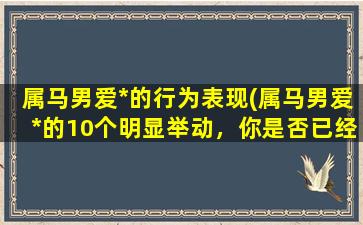 属马男爱*的行为表现(属马男爱*的10个明显举动，你是否已经注意到？)