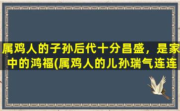 属鸡人的子孙后代十分昌盛，是家中的鸿福(属鸡人的儿孙瑞气连连，祖辈鸿福庇佑中心)