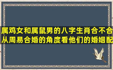 属鸡女和属鼠男的八字生肖合不合从周易合婚的角度看他们的婚姻配吗