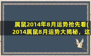 属鼠2014年8月运势抢先看(2014属鼠8月运势大揭秘，这个月你运势如何？)