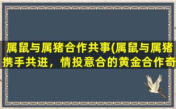 属鼠与属猪合作共事(属鼠与属猪携手共进，情投意合的黄金合作奇谋！)