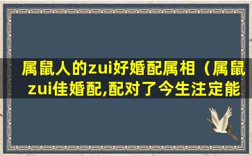 属鼠人的zui好婚配属相（属鼠zui佳婚配,配对了今生注定能大富大贵!）