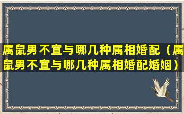 属鼠男不宜与哪几种属相婚配（属鼠男不宜与哪几种属相婚配婚姻）