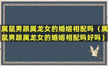 属鼠男跟属龙女的婚姻相配吗（属鼠男跟属龙女的婚姻相配吗好吗）