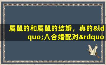 属鼠的和属鼠的结婚，真的“八合婚配对”吗