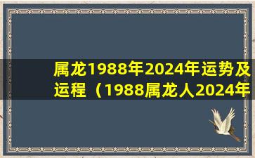 属龙1988年2024年运势及运程（1988属龙人2024年全年运势及运程）