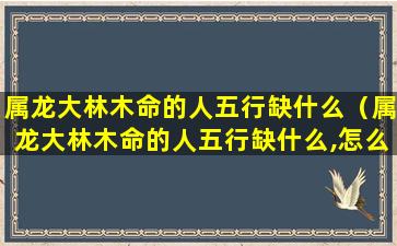 属龙大林木命的人五行缺什么（属龙大林木命的人五行缺什么,怎么改）