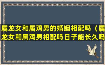 属龙女和属鸡男的婚姻相配吗（属龙女和属鸡男相配吗日子能长久吗）