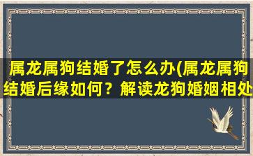 属龙属狗结婚了怎么办(属龙属狗结婚后缘如何？解读龙狗婚姻相处之道)