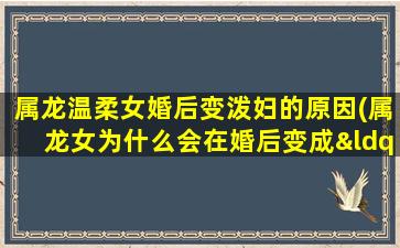 属龙温柔女婚后变泼妇的原因(属龙女为什么会在婚后变成“泼妇”？)