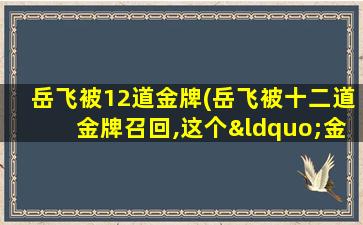 岳飞被12道金牌(岳飞被十二道金牌召回,这个“金牌”到底是何物)