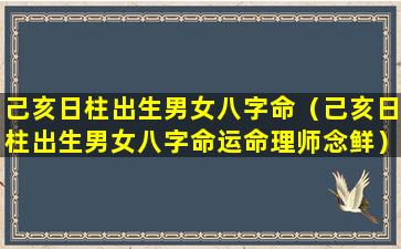 己亥日柱出生男女八字命（己亥日柱出生男女八字命运命理师念鲜）