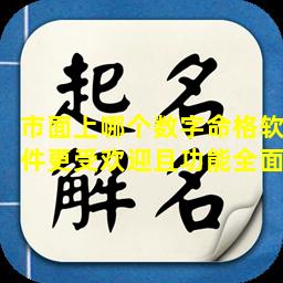 市面上哪个数字命格软件更受欢迎且功能全面