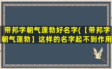 带邦字朝气蓬勃好名字(【带邦字朝气蓬勃】这样的名字起不到作用？从90后女孩的名字现状看创业邦们如何诉求它！)