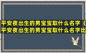 平安夜出生的男宝宝取什么名字（平安夜出生的男宝宝取什么名字比较好）