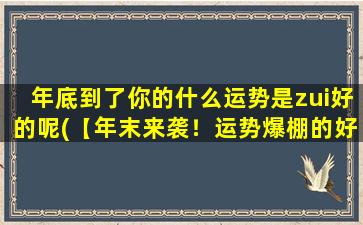 年底到了你的什么运势是zui好的呢(【年末来袭！运势爆棚的好消息】)