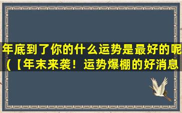 年底到了你的什么运势是最好的呢(【年末来袭！运势爆棚的好消息】)