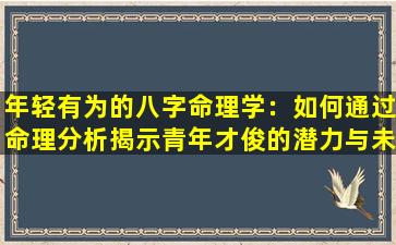 年轻有为的八字命理学：如何通过命理分析揭示青年才俊的潜力与未来