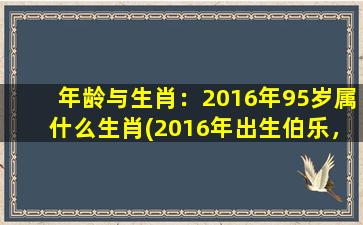 年龄与生肖：2016年95岁属什么生肖(2016年出生伯乐，95岁生肖是什么？)