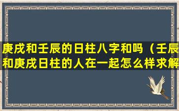 庚戌和壬辰的日柱八字和吗（壬辰和庚戌日柱的人在一起怎么样求解）