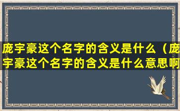 庞宇豪这个名字的含义是什么（庞宇豪这个名字的含义是什么意思啊）