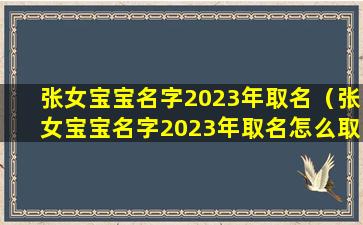 张女宝宝名字2023年取名（张女宝宝名字2023年取名怎么取）