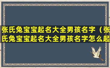 张氏兔宝宝起名大全男孩名字（张氏兔宝宝起名大全男孩名字怎么起）