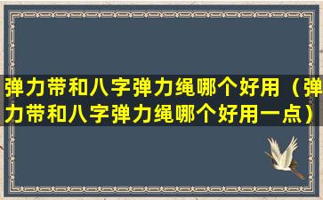 弹力带和八字弹力绳哪个好用（弹力带和八字弹力绳哪个好用一点）