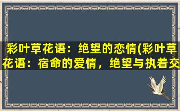 彩叶草花语：绝望的恋情(彩叶草花语：宿命的爱情，绝望与执着交缠的故事)