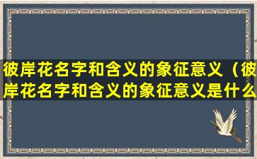 彼岸花名字和含义的象征意义（彼岸花名字和含义的象征意义是什么）