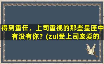 得到重任，上司重视的那些星座中有没有你？(zui受上司宠爱的星座女）