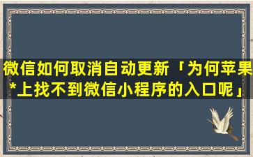 微信如何取消自动更新「为何苹果*上找不到微信小程序的入口呢」