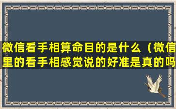 微信看手相算命目的是什么（微信里的看手相感觉说的好准是真的吗）