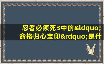 忍者必须死3中的“命格归心宝印”是什么