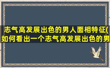 志气高发展出色的男人面相特征(如何看出一个志气高发展出色的男人的面相特征？)