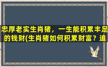 忠厚老实生肖猪，一生能积累丰足的钱财(生肖猪如何积累财富？追求忠厚老实的经济建设之路)