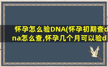 怀孕怎么验DNA(怀孕初期查dna怎么查,怀孕几个月可以验dna)