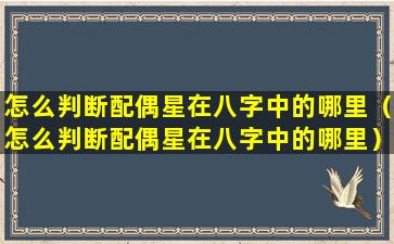 怎么判断配偶星在八字中的哪里（怎么判断配偶星在八字中的哪里）